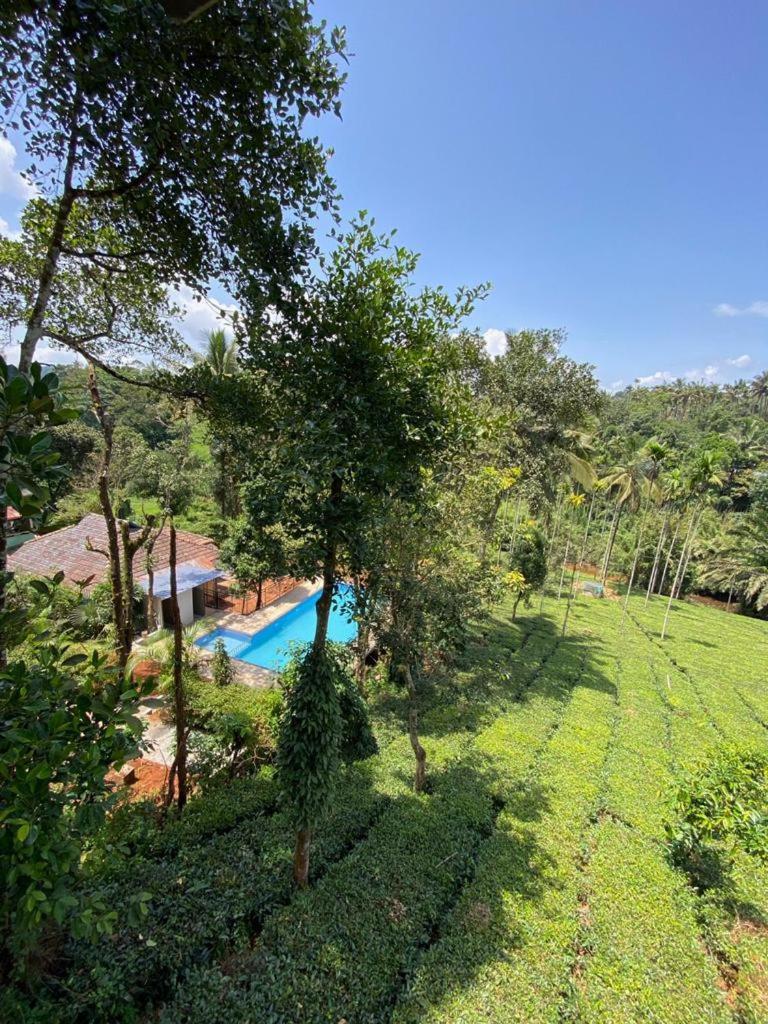 Letstay Vythiri Hill Palace Exteriör bild