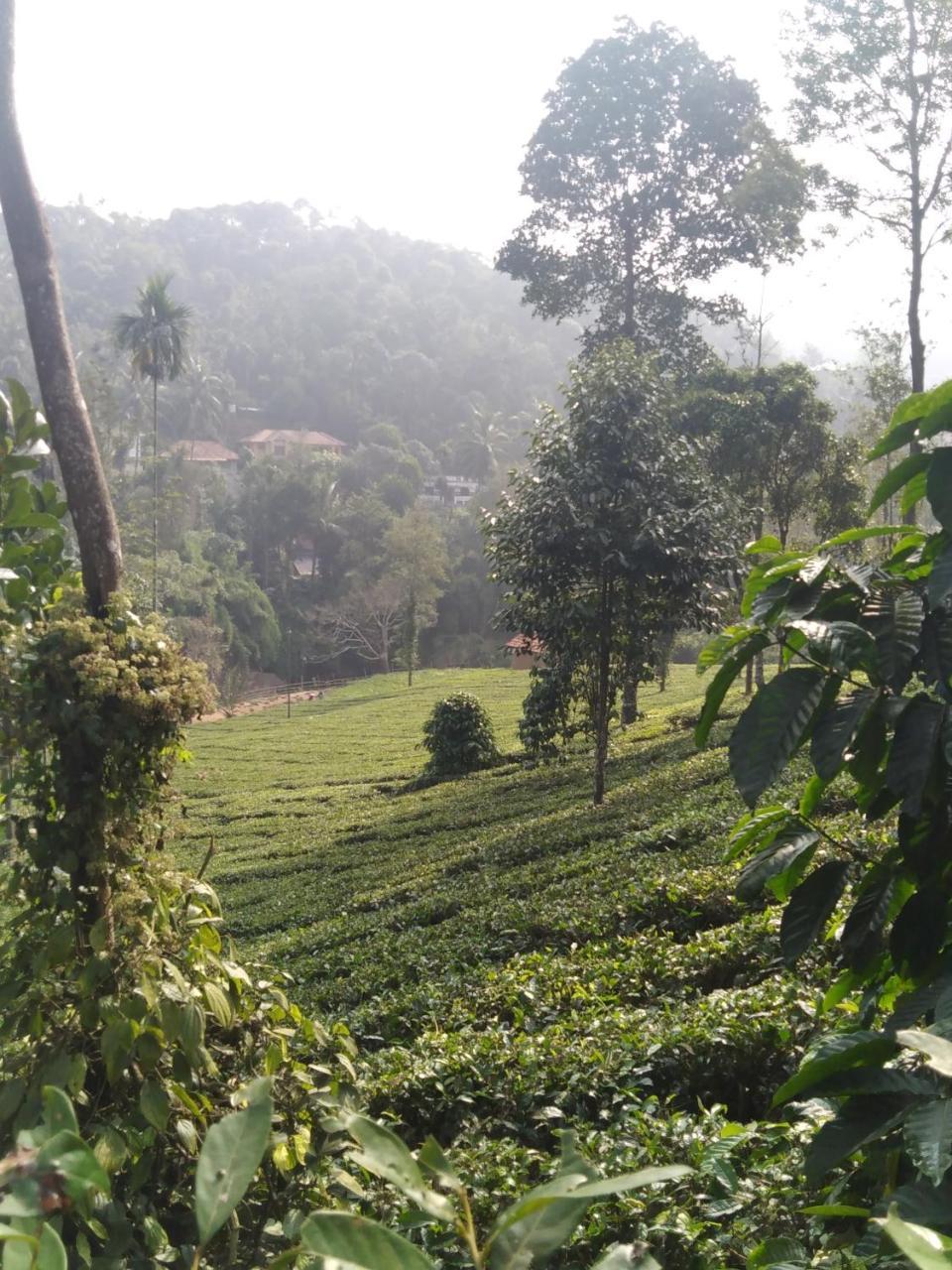 Letstay Vythiri Hill Palace Exteriör bild